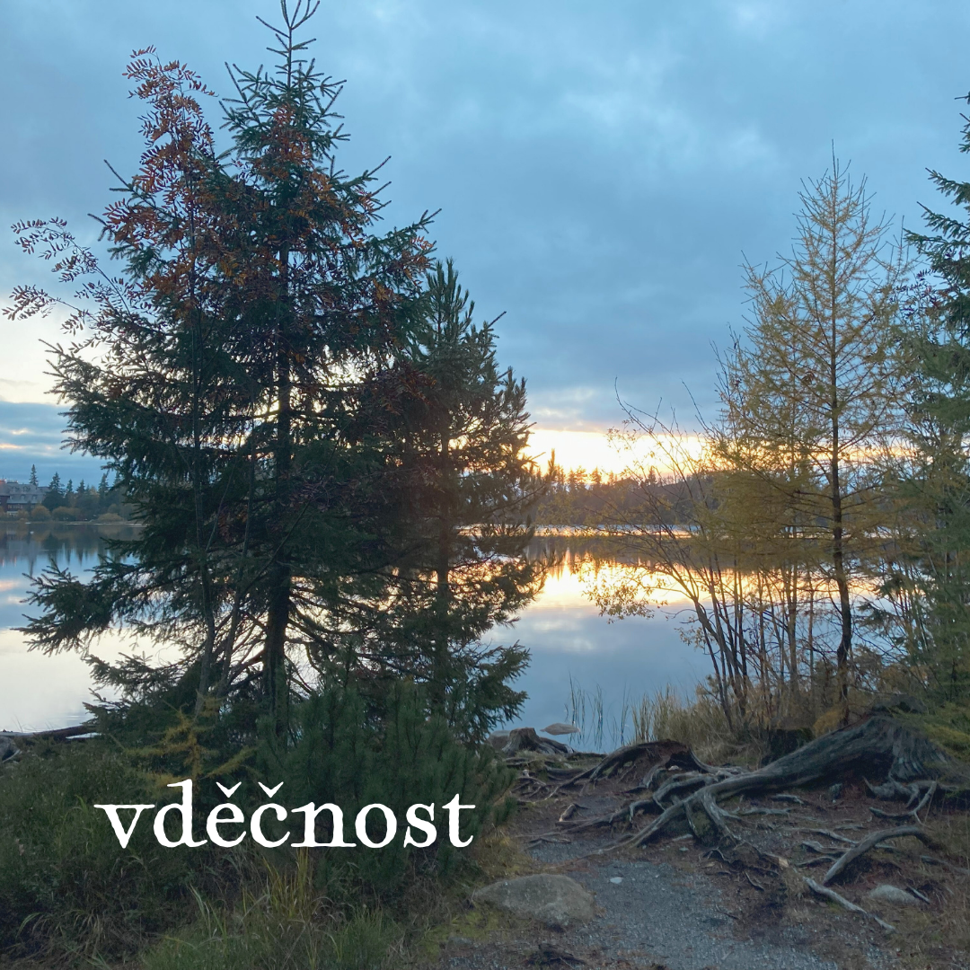 Vděčnost