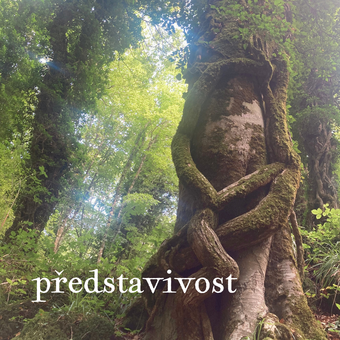Představivost