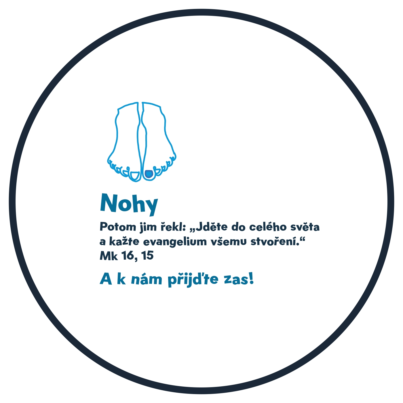 Nohy